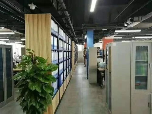 西安咸陽(yáng)公司注冊(cè)與代理記賬服務(wù)詳解