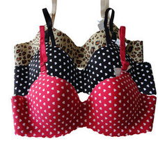 新中洋科技（深圳）文胸產品系列介紹